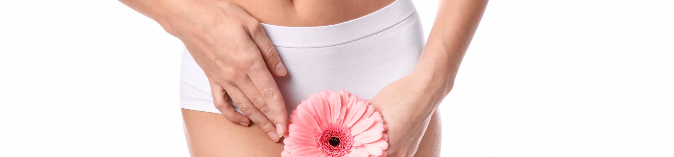 Labiaplasty procedure banner